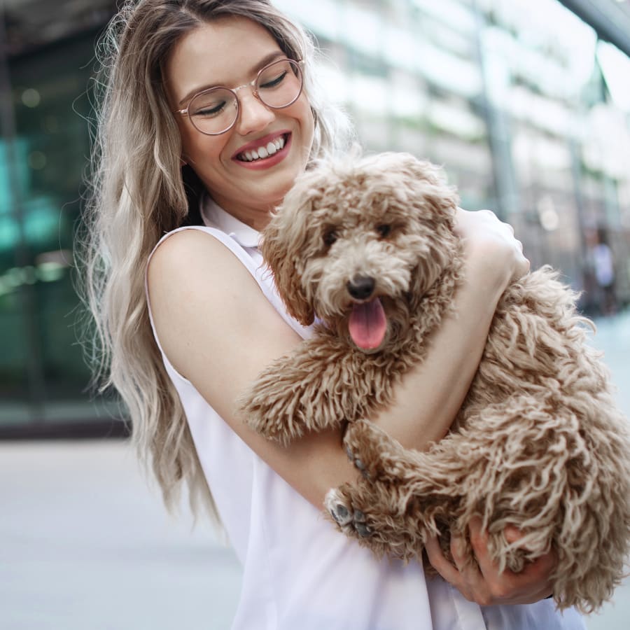 Dog Vaccinations at Eastgate Animal Hospital