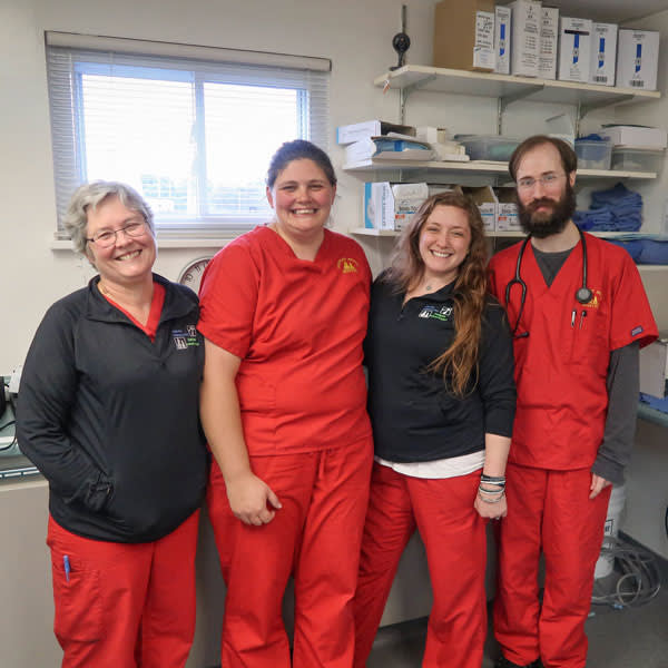 Veterinary Technicians